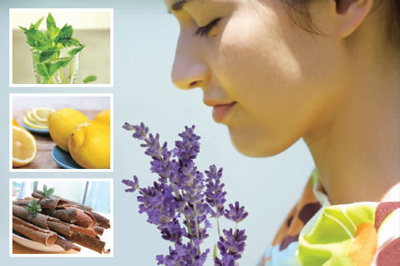 芬芳中的養生智慧 八種香味的保健奇效
